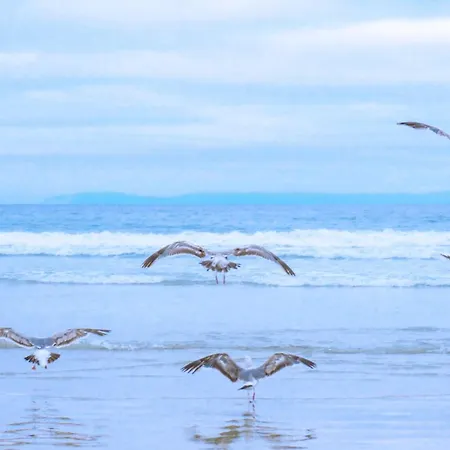 The Coastline Vakantiehuis